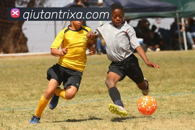 球探体育平台生态图